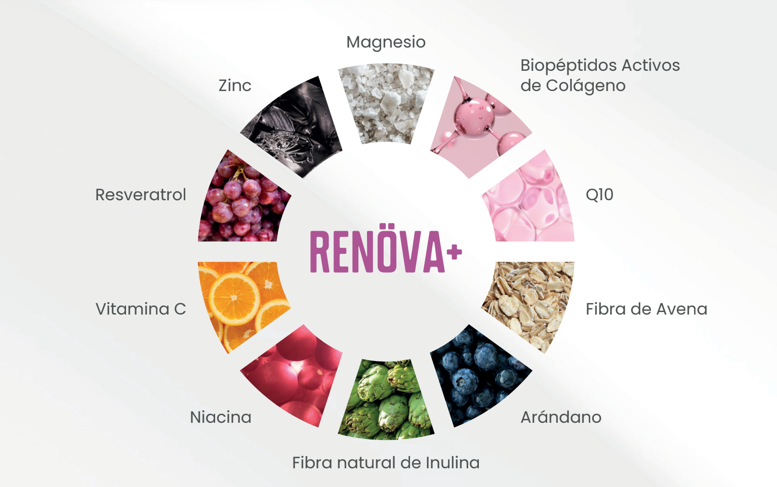 COLAGENO RENOVA
