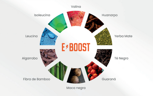 E-BOOST